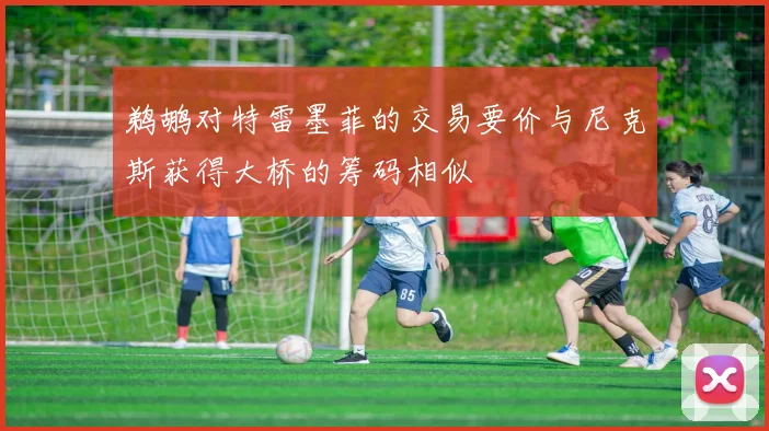 鹈鹕对特雷墨菲的交易要价与尼克斯获得大桥的筹码相似