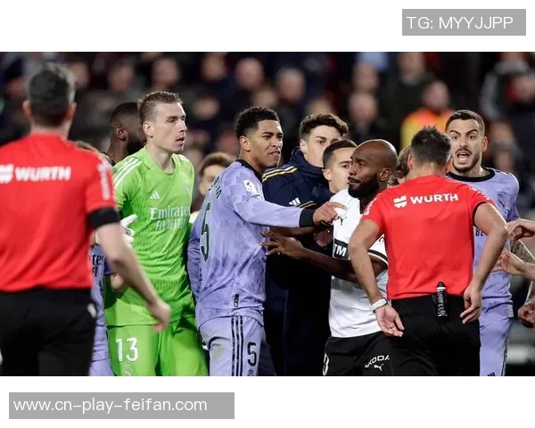 国米点球争议背后主裁视线受阻助理裁判果断判罚VAR介入确认结果