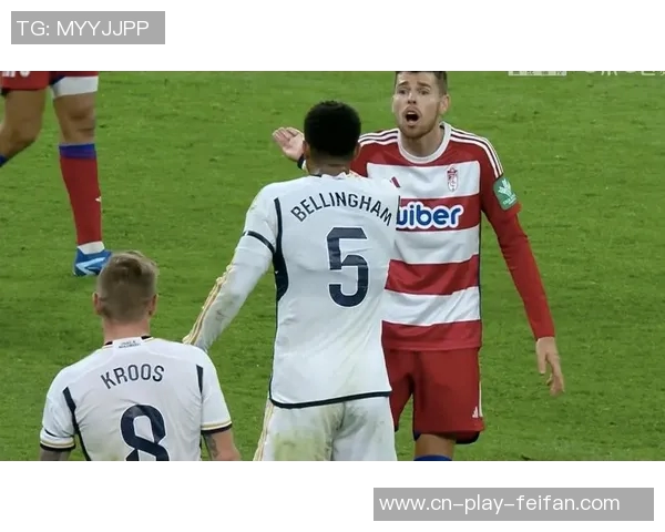 马卡分析罗德里戈在左路的最佳表现与进攻潜力 马卡分析罗德里戈在左路的最佳表现与进攻潜力